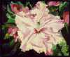 Rhododendron  Copyright � 1998 Caryl Bryer Fallert