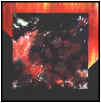 Copyright 1997 Caryl Bryer Fallert