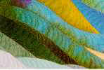 Birds of a Different Color: Detail #2