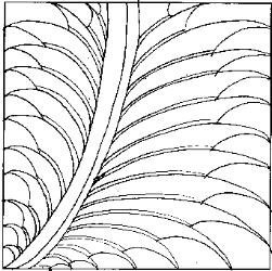 Feather Study #9, original sketch, Copyright © 1999 Caryl Bryer Fallert