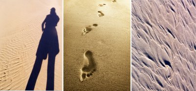 click for larger image