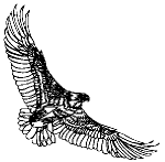 eagledrawing2.gif (2540 bytes)