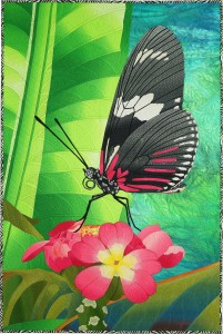 click for larger image