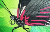 Click for larger image.