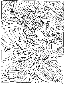 newbirdlines.gif (6919 bytes)