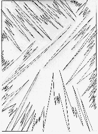 frost1drawing.gif (13707 bytes)