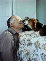 Click for larger image.