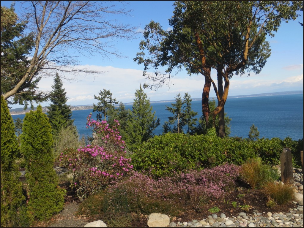 click for next image