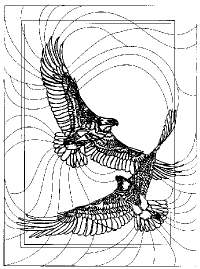 eagledesign1.gif (8213 bytes)