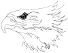 eagleheadstudy3.gif (1256 bytes)