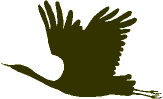 birdoutline.gif (1059 bytes)