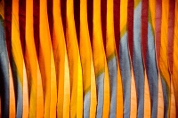 Click for larger image.