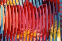 Click for larger image