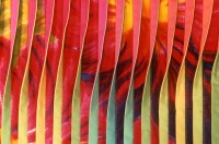 Click for larger image