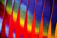 Click for larger image.