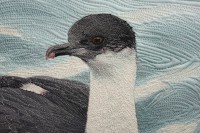 Click for larger image.