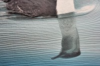 Click for larger image.