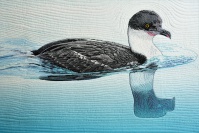 Click for larger image.