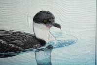 Click for larger image.