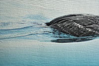 Click for larger image.