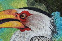 Yellow-billed Hornbill (detail) • 30” x 30” • Copyright © 2011 • Caryl Bryer Fallert  • Bryerpatch Studio • www.bryerpatch.com