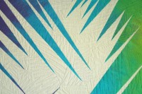 detail of Frost Feathers #1 by Caryl Bryer Fallert