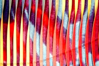 Click for larger image.