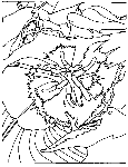linedrawing.gif (2906 bytes)