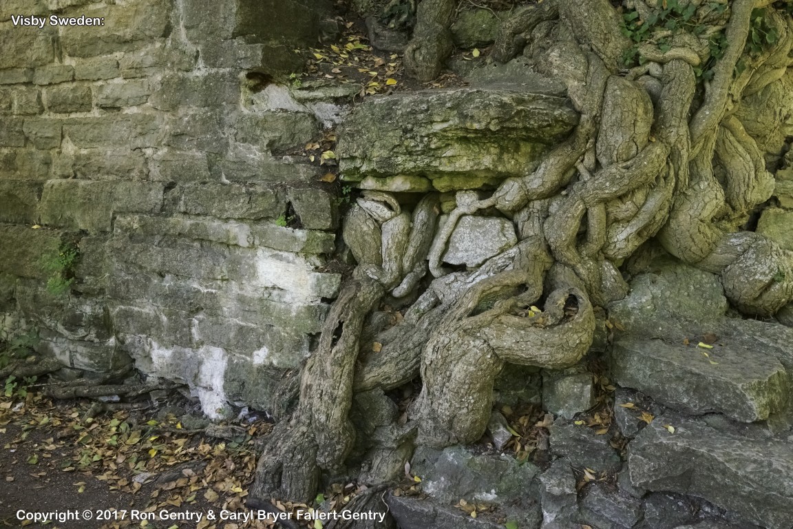 click for next image