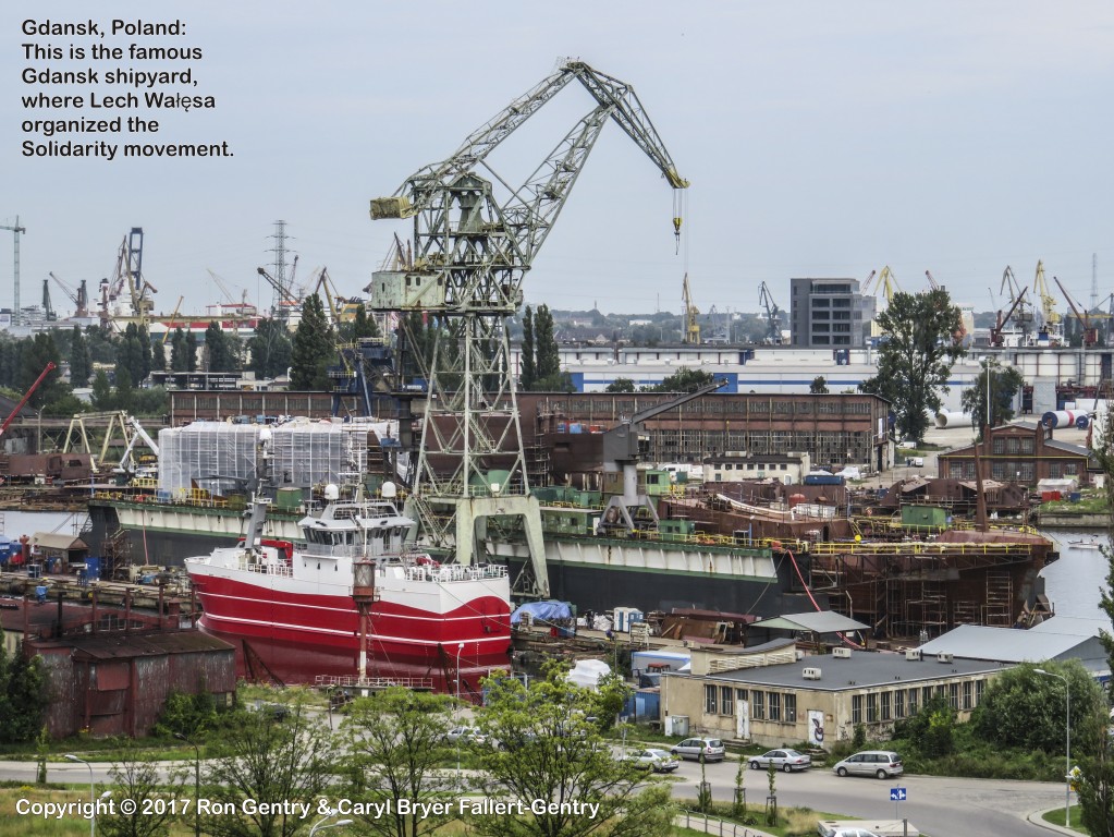 click for next image