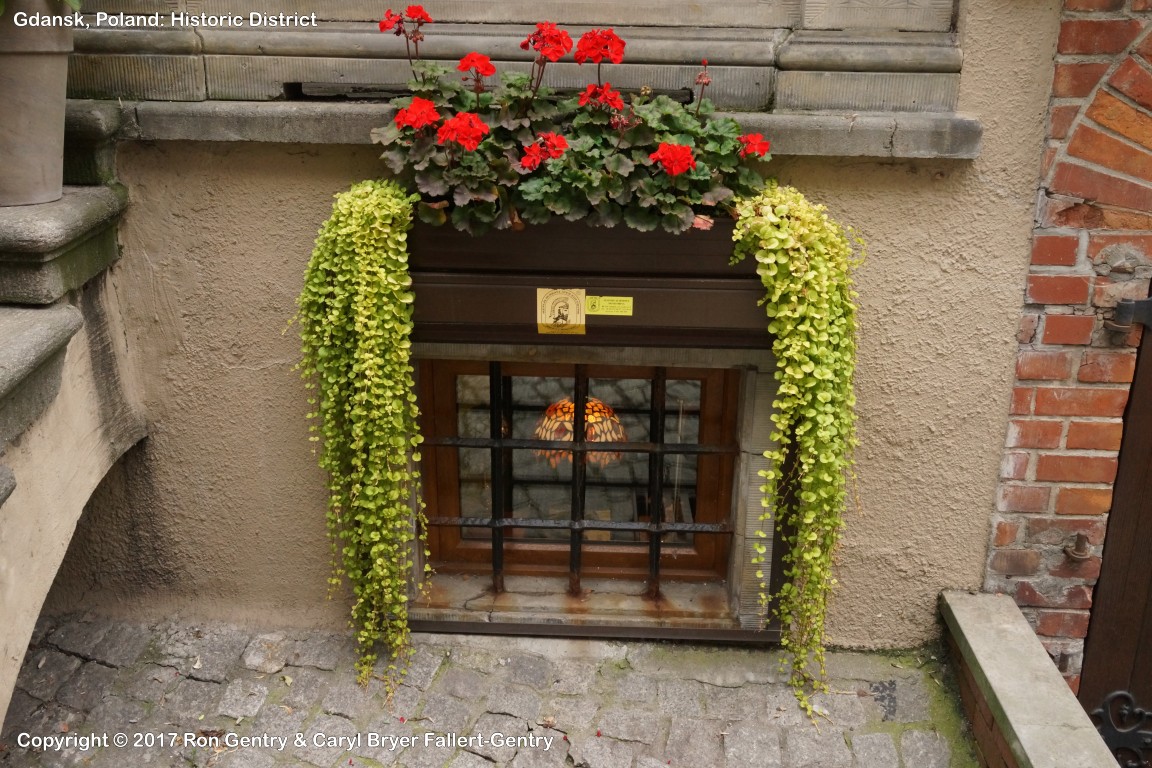 click for next image