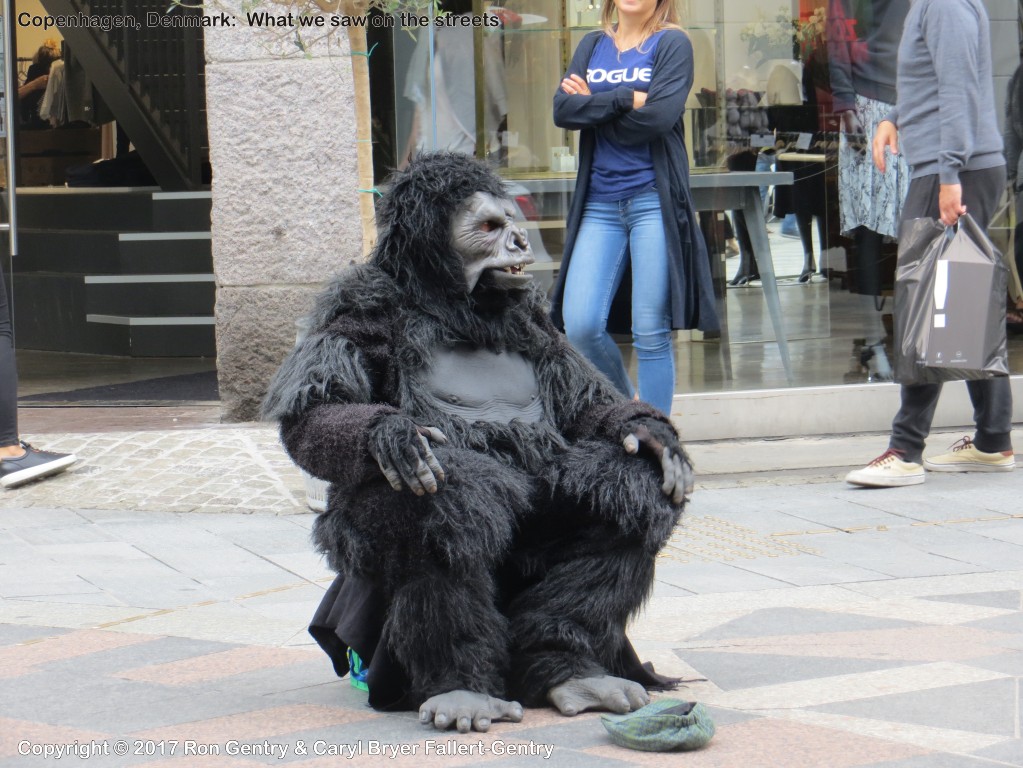 click for next image