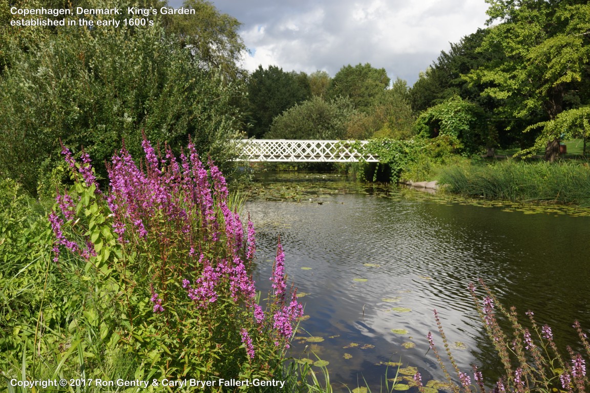 click for next image