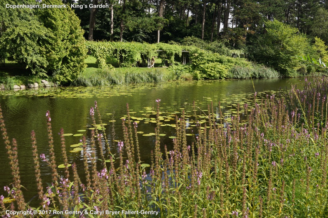 click for next image