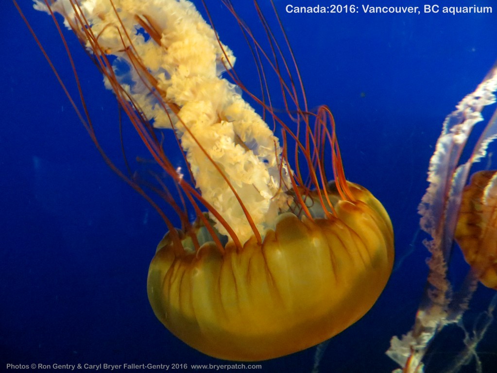 click for next image