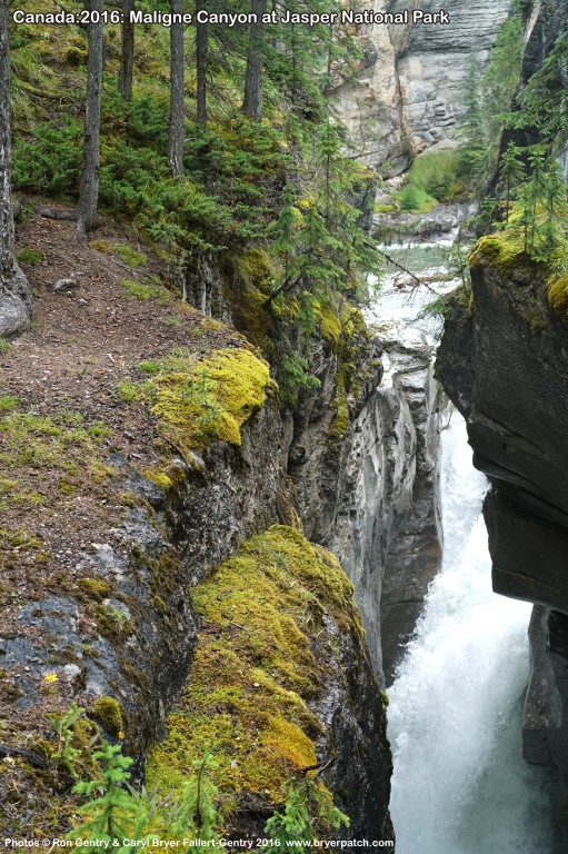 click for next image