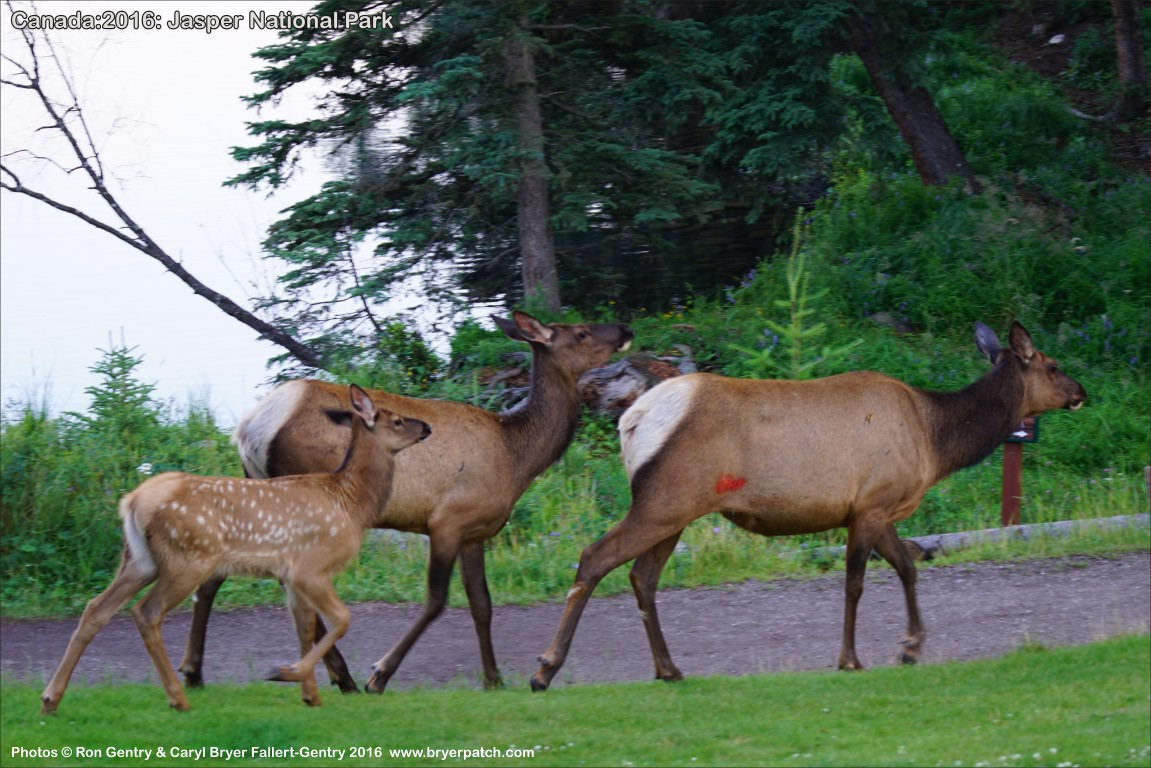 click for next image