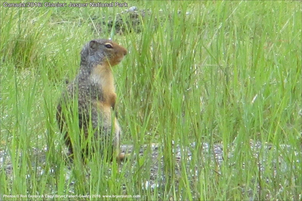 click for next image