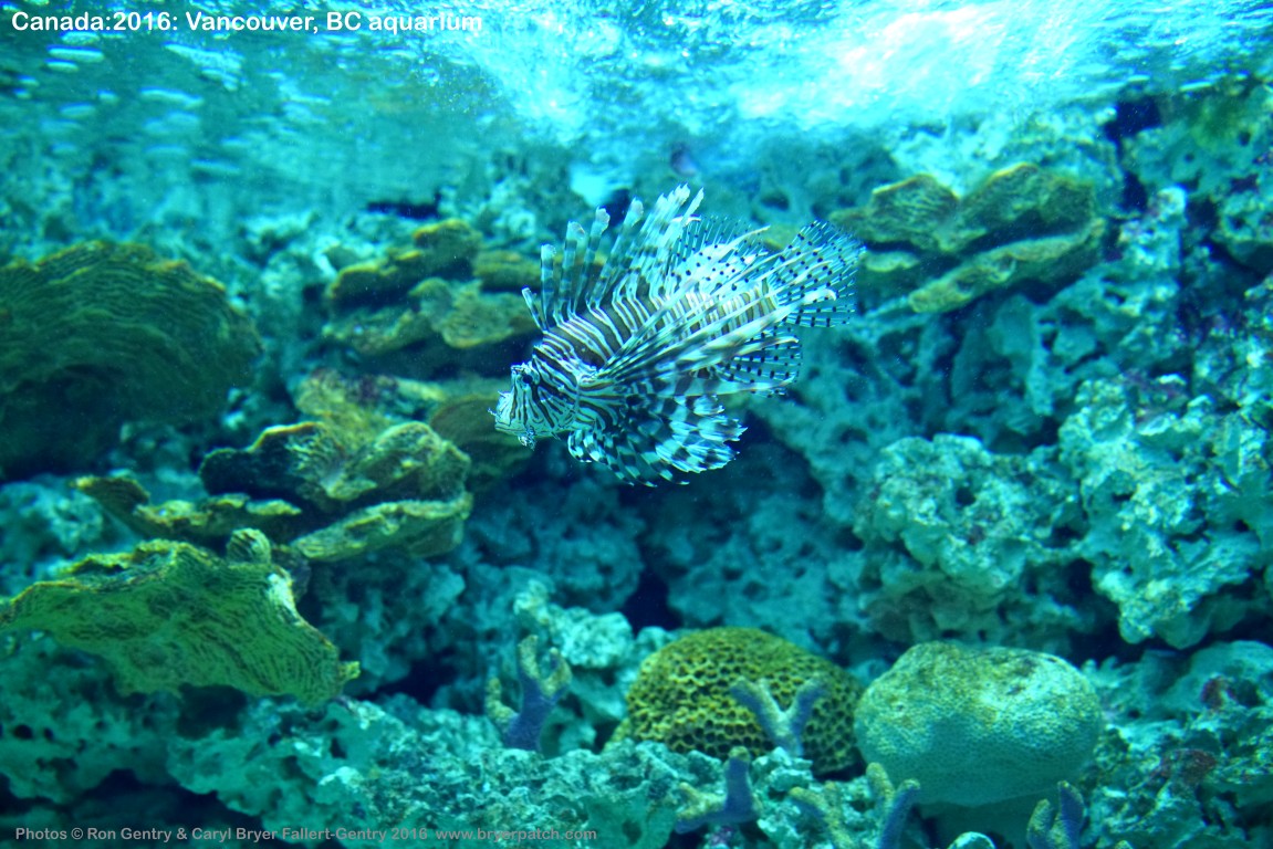 click for next image