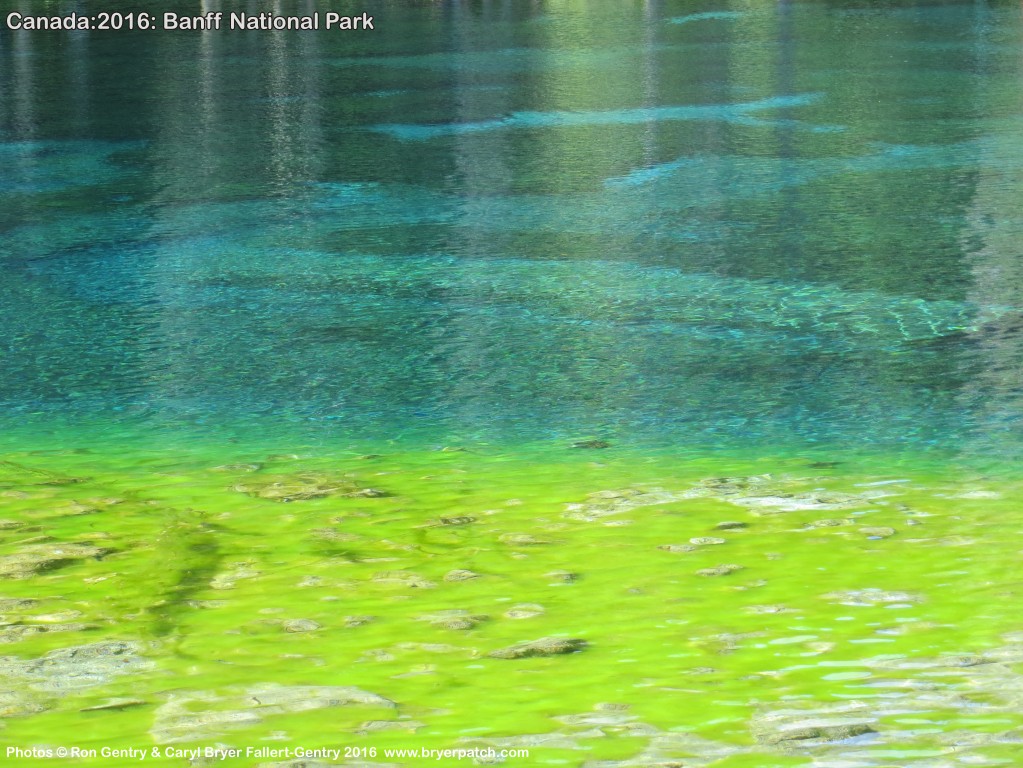 click for next image