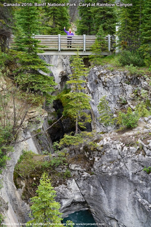 click for next image