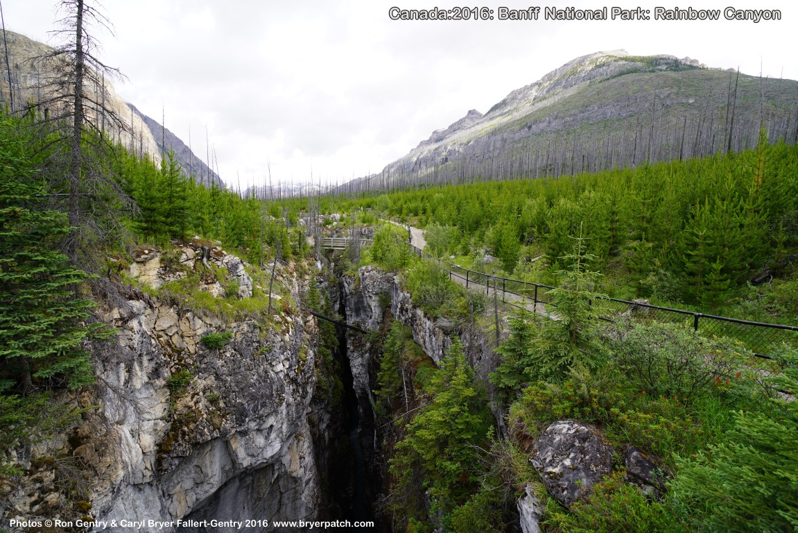 click for next image