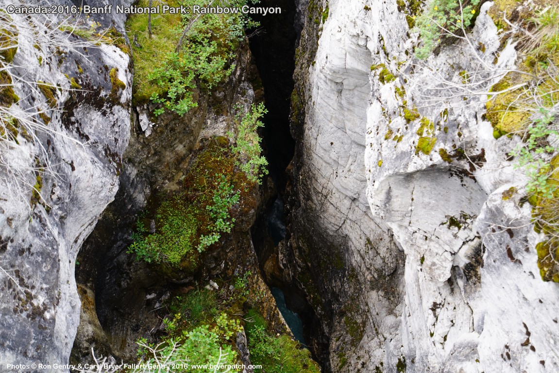 click for next image