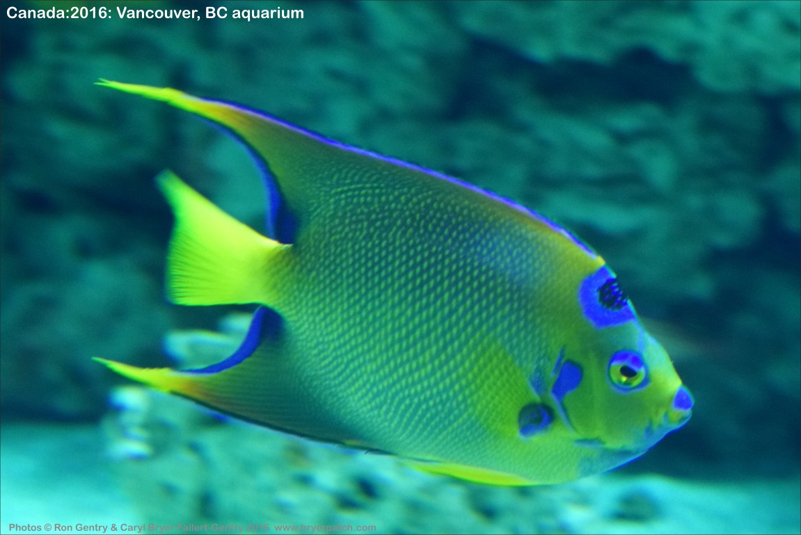 click for next image