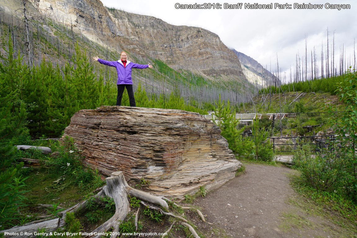 click for next image