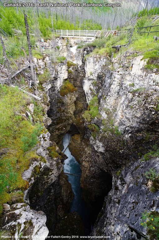 click for next image