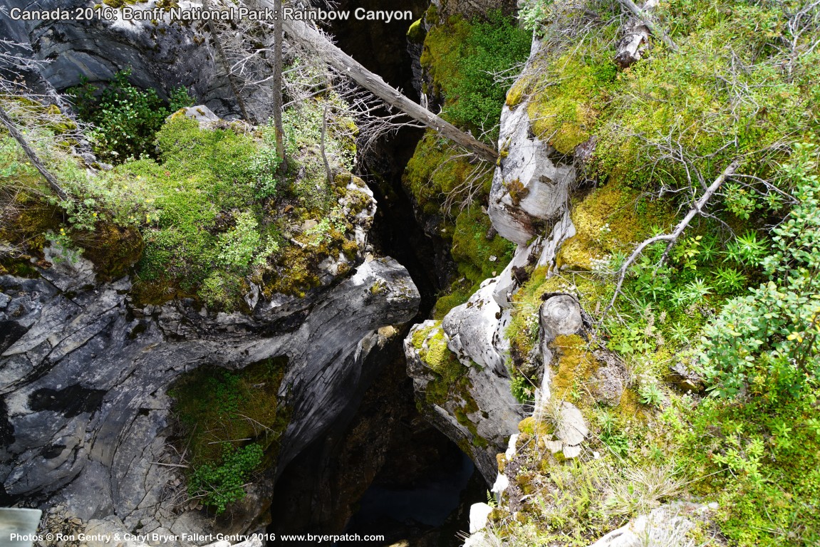 click for next image