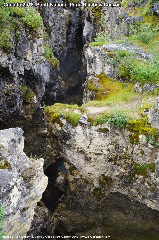 click for next image