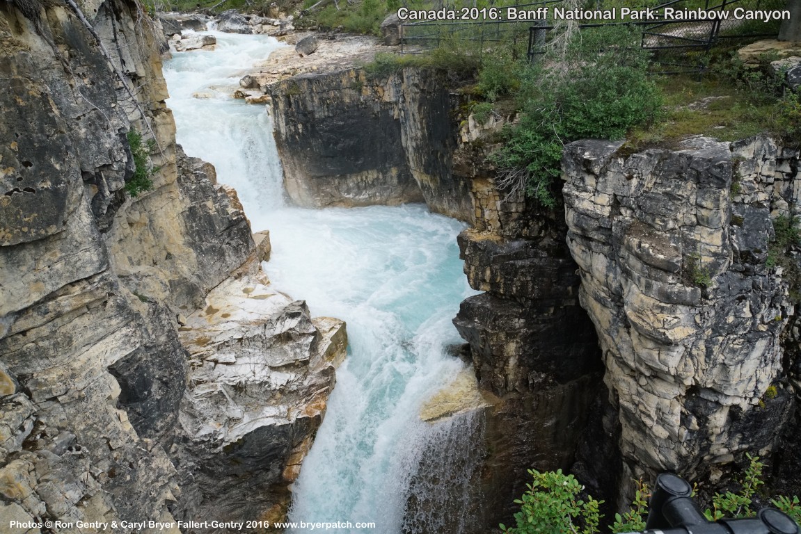 click for next image