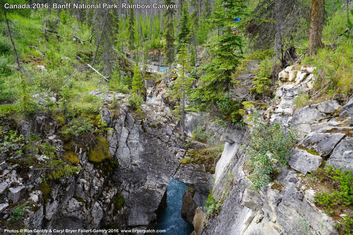 click for next image